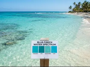 blue-green