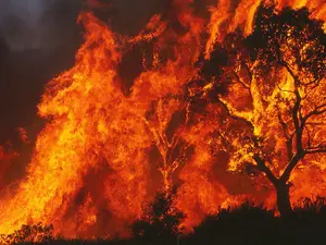 conflagration